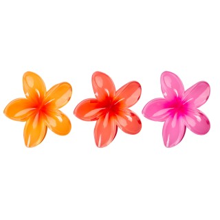 Pinces fleurs tropicales -...